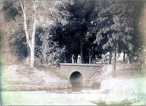TELAGH 29- PONT ROUTE DE SLISSEN